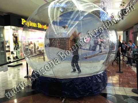 Human Snow Globe AZ